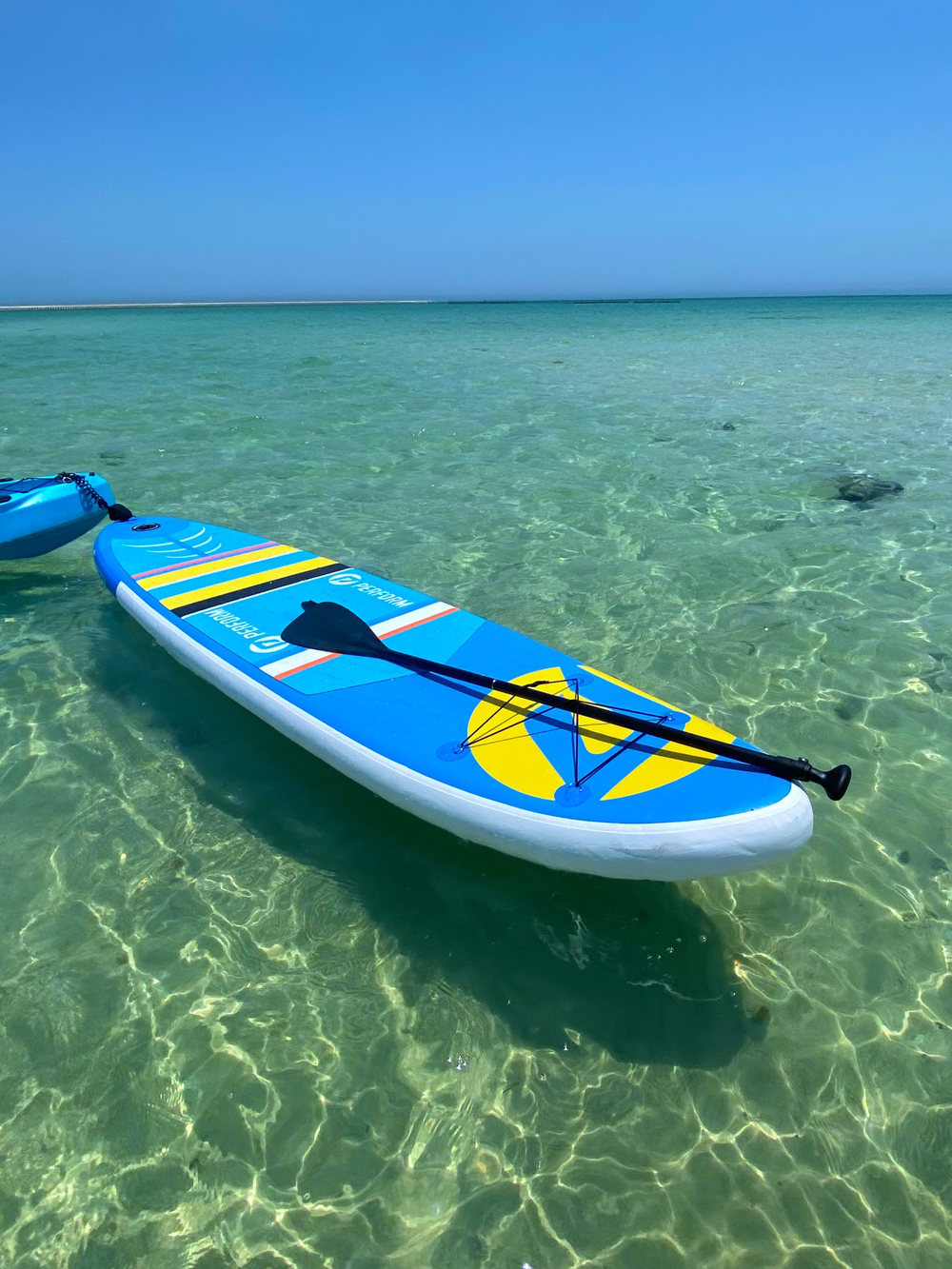 MSL PADDLE BOARD - Limited Edition - Perform Athletics